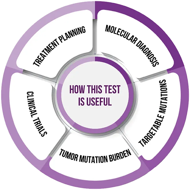 Comprehensive-Genomic-Profiling
